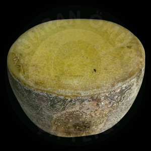 Teker Eski Kaşar (12.200 - 12.500 GR)