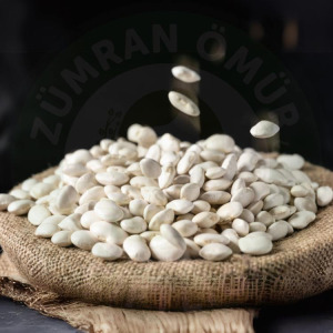 İspir Kuru Fasülye (Çalı 500 GR)