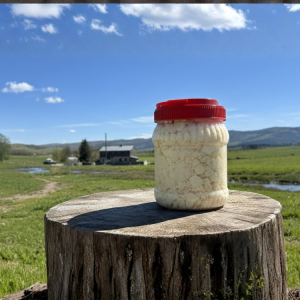 Bidon İnek Tulum Peyniri (1000 GR)